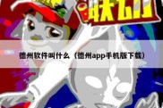 德州软件叫什么（德州app手机版下载）