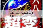 pokerking（pokerking安卓版）