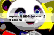 wepOKer能透视吗（wepoker透视是骗局吗）